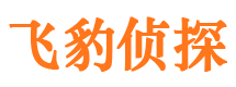 黄骅市婚外情调查